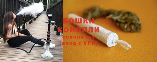 шишки Нязепетровск