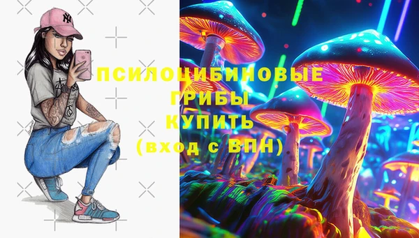шишки Нязепетровск