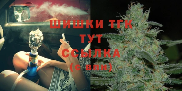 шишки Нязепетровск