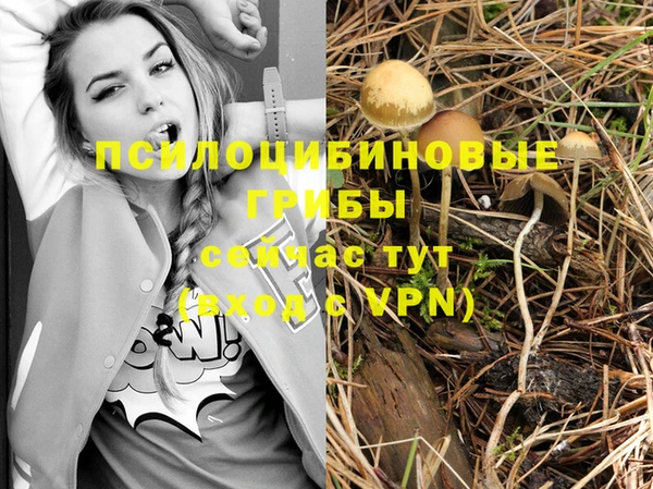 шишки Нязепетровск