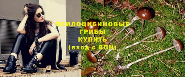 герыч Няндома