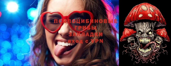 герыч Няндома
