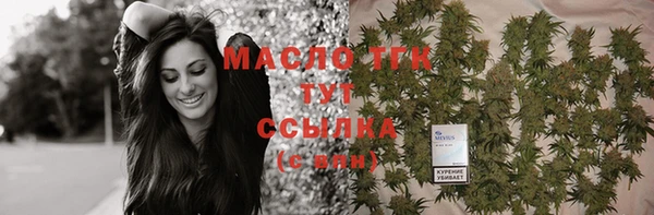 шишки Нязепетровск